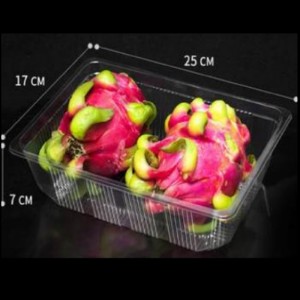 커버 딥 트레이 없음 260*180*70 mm HGF-2517H7